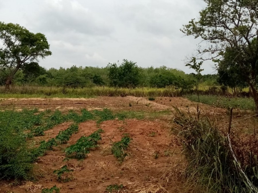 Land for sale Dambulla, Dambulla