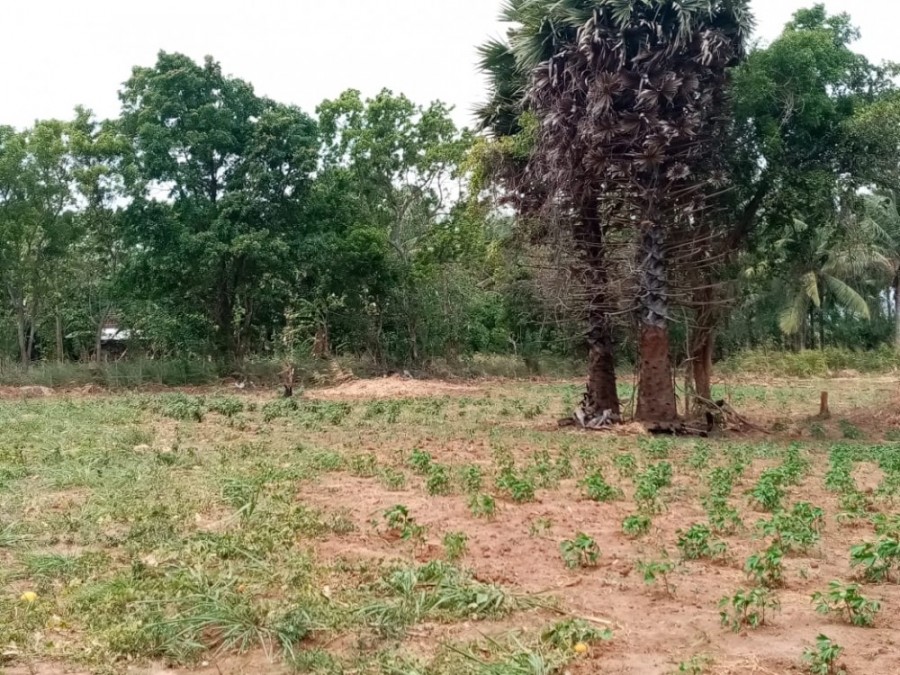 Land for sale Dambulla, Dambulla