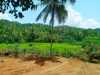 36.25P Land for Sale in Alawwa for Rs.118,500 lakhs (per perche)