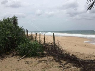 Beach front Land For Sale for Hotel-Thampaddai, Akkaraipattu