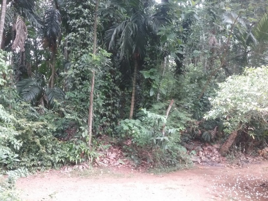 Land for Sale, Kurunegala